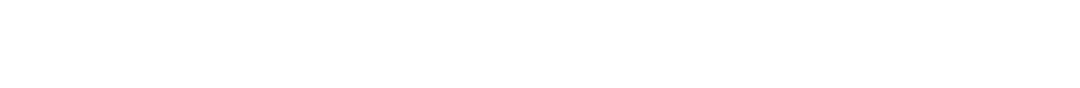 BigPanda Partners