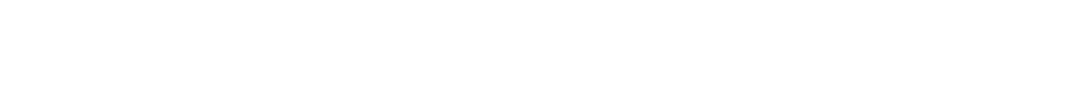 BigPanda Partners