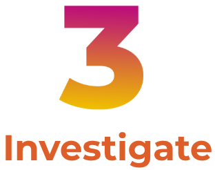 3 Investigate