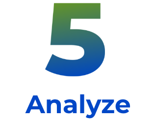 5 Analyze