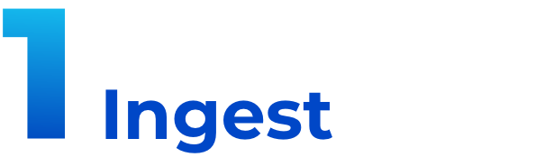 Ingest Ingest
