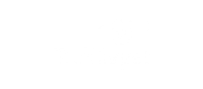 TechTarget